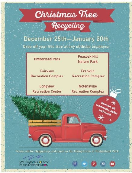 treerecycling